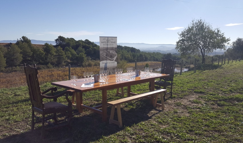 Patio exterior de la bodega para eventos y cócteles.